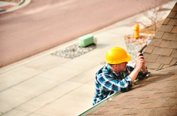 Best Roof Gutter Cleaning  in Kotzebue, AK