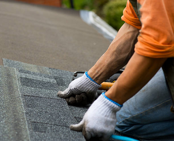 Best Shingle Roofing Installation  in Kotzebue, AK