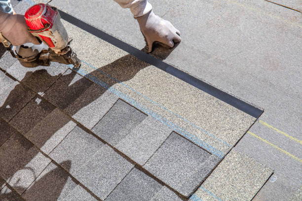 Best Roof Leak Repair  in Kotzebue, AK